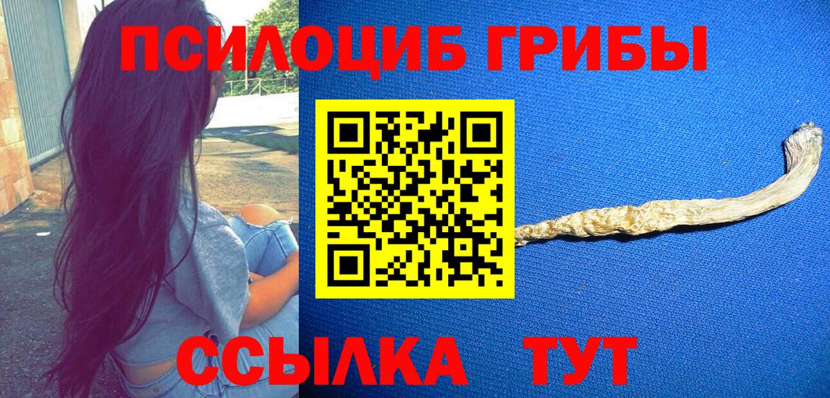 Псилоцибиновые грибы Magic Shrooms  Вход с VPN  Кузнецк 