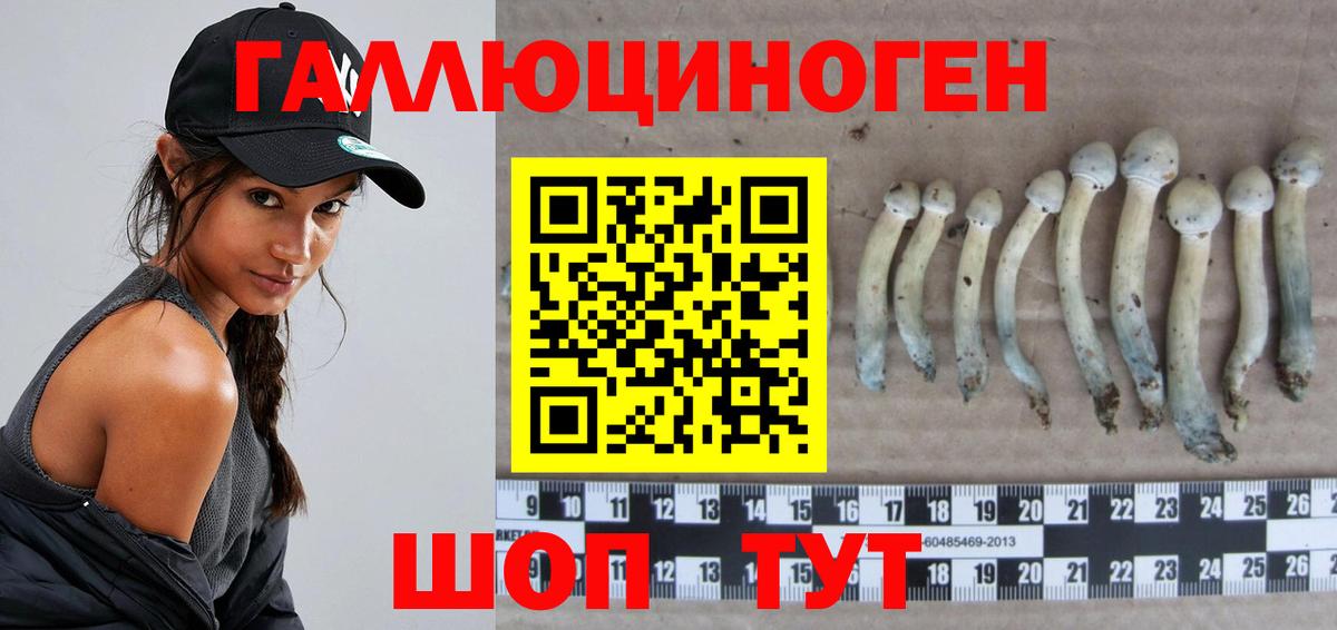 Псилоцибиновые грибы Magic Shrooms Кузнецк